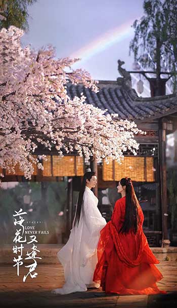 落花时节又逢君（2025）