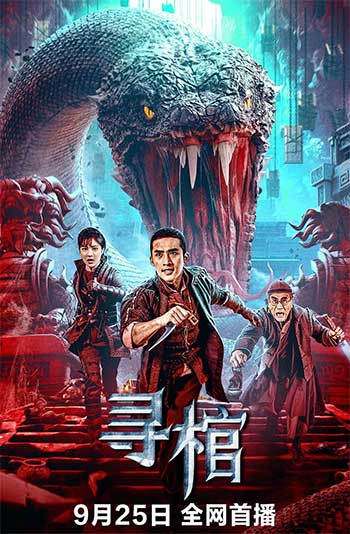 寻棺（2025）